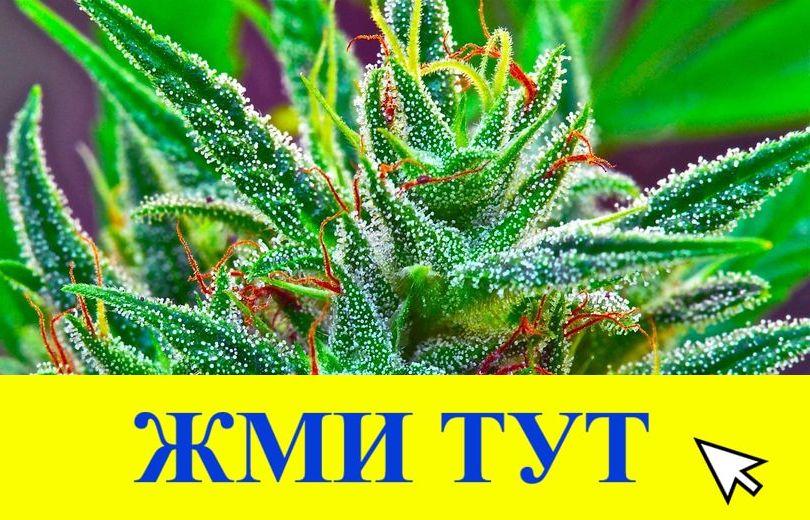 Купить наркотики в Кушве